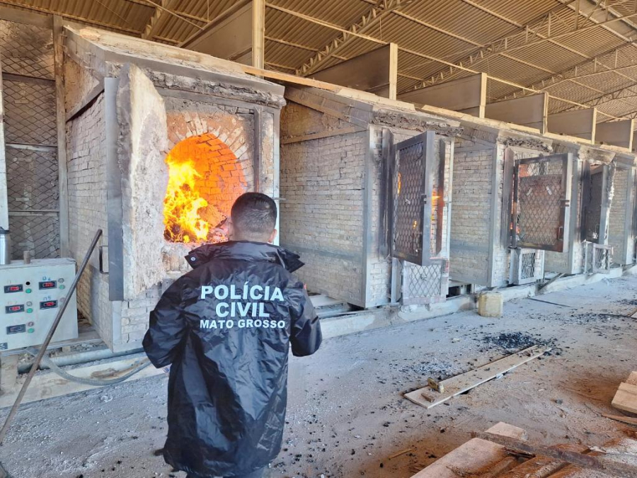Polícia Civil incinera 150 quilos de drogas em Lucas do Rio Verde após autorização judicial