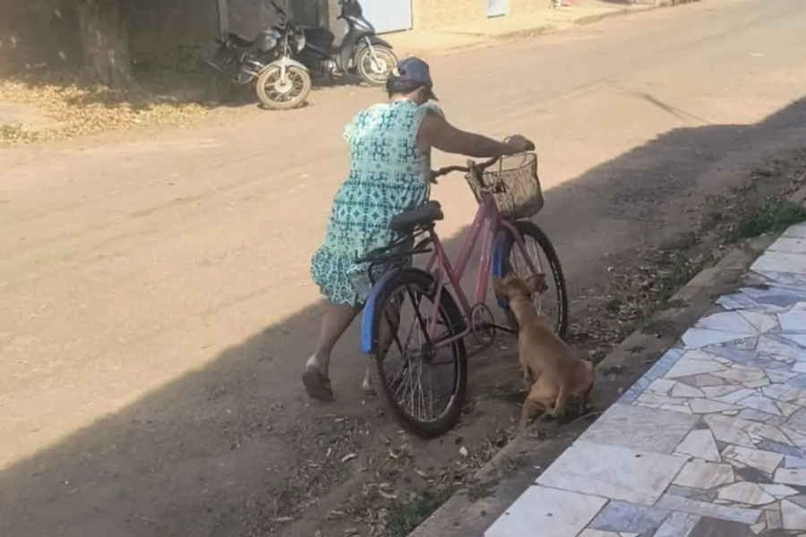  Vídeo mostra mulher arrastando cachorro com corda em Cáceres e gera revolta nas redes
